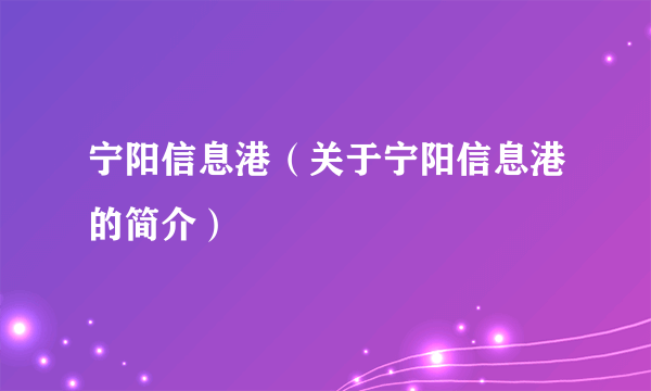 宁阳信息港（关于宁阳信息港的简介）