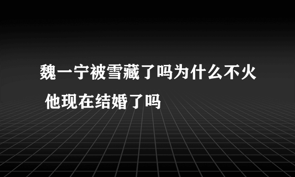 魏一宁被雪藏了吗为什么不火 他现在结婚了吗