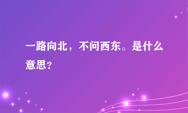 一路向北，不问西东。是什么意思？