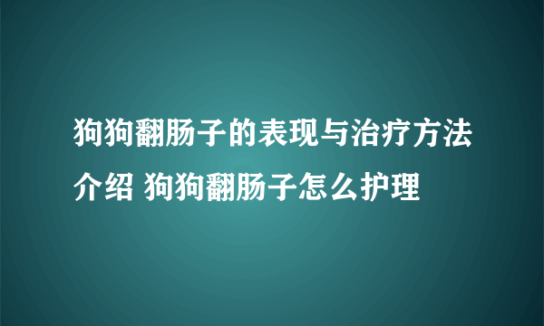 狗狗翻肠子的表现与治疗方法介绍 狗狗翻肠子怎么护理