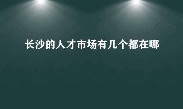 长沙的人才市场有几个都在哪