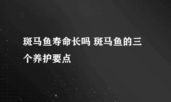 斑马鱼寿命长吗 斑马鱼的三个养护要点