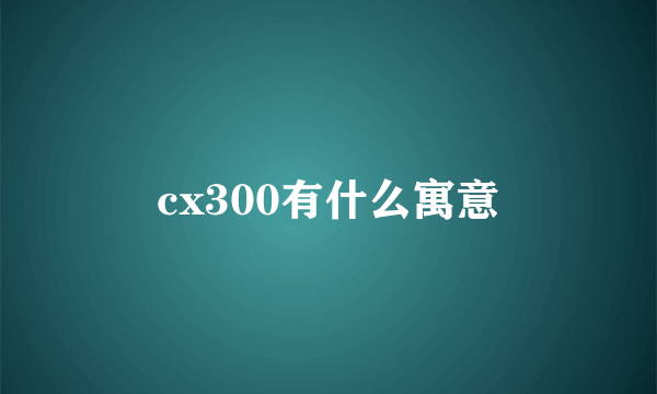 cx300有什么寓意