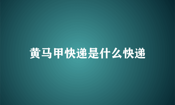 黄马甲快递是什么快递