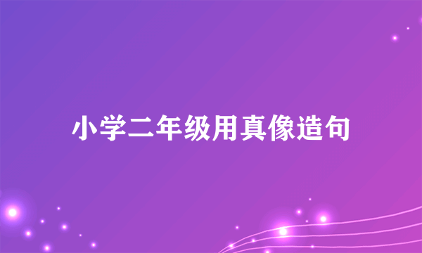 小学二年级用真像造句