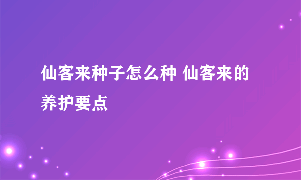 仙客来种子怎么种 仙客来的养护要点