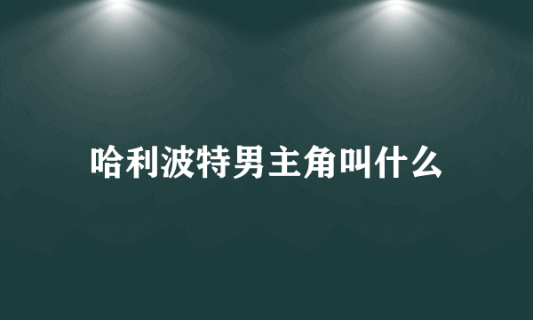 哈利波特男主角叫什么