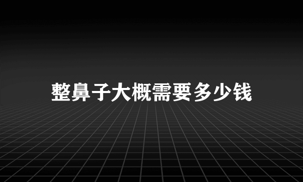 整鼻子大概需要多少钱