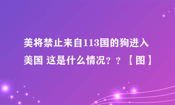 美将禁止来自113国的狗进入美国 这是什么情况？？【图】