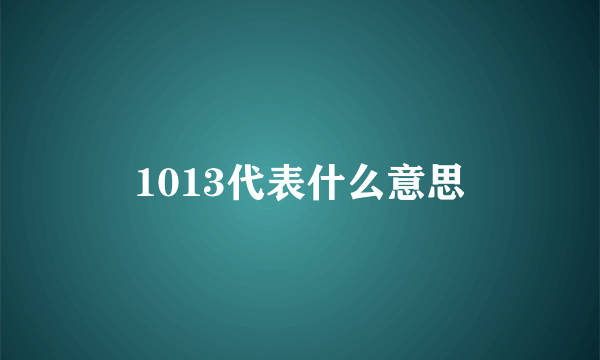 1013代表什么意思