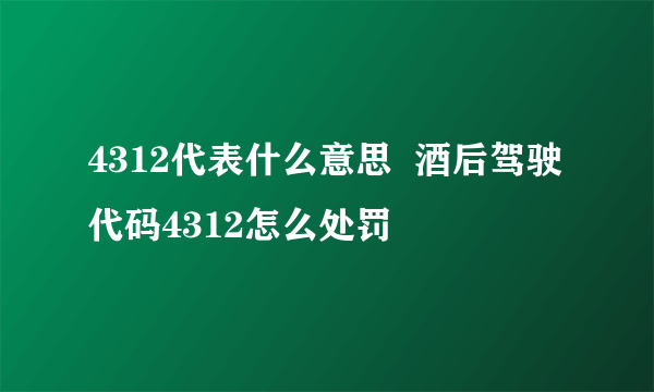 4312代表什么意思  酒后驾驶代码4312怎么处罚