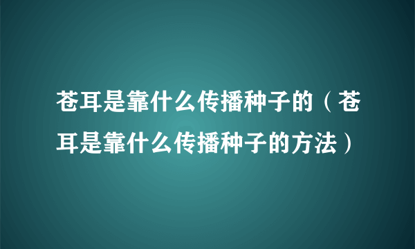 苍耳是靠什么传播种子的（苍耳是靠什么传播种子的方法）