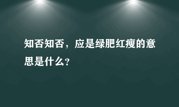 知否知否，应是绿肥红瘦的意思是什么？