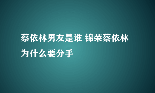 蔡依林男友是谁 锦荣蔡依林为什么要分手