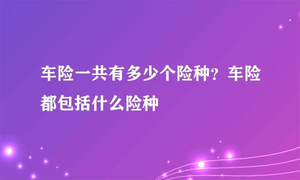 车险一共有多少个险种？车险都包括什么险种