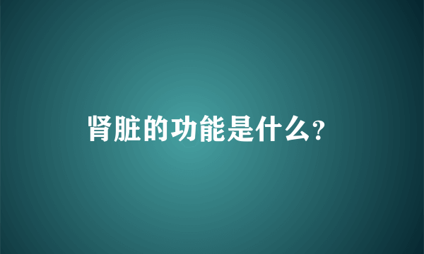 肾脏的功能是什么？