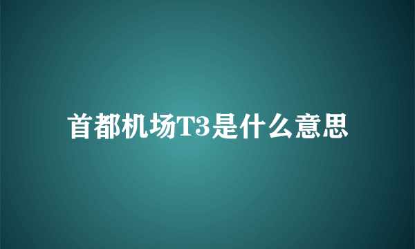 首都机场T3是什么意思