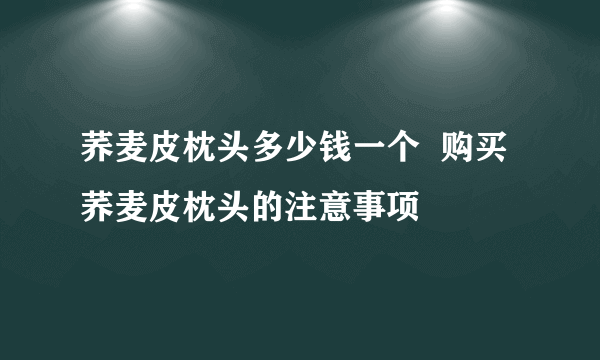 荞麦皮枕头多少钱一个  购买荞麦皮枕头的注意事项