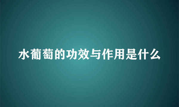 水葡萄的功效与作用是什么