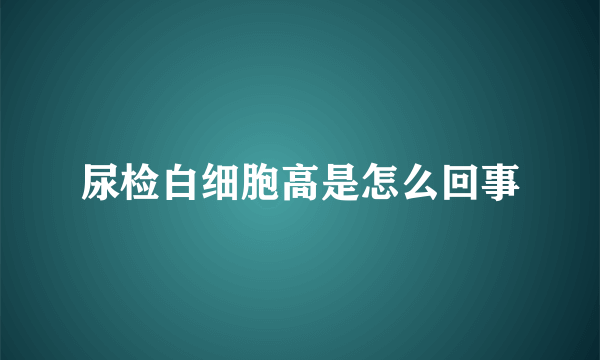 尿检白细胞高是怎么回事