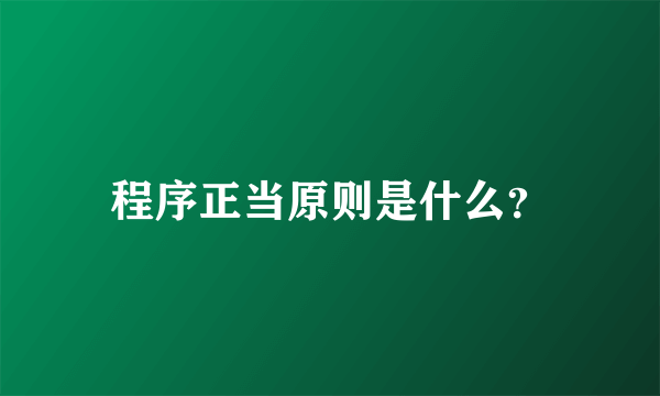 程序正当原则是什么？