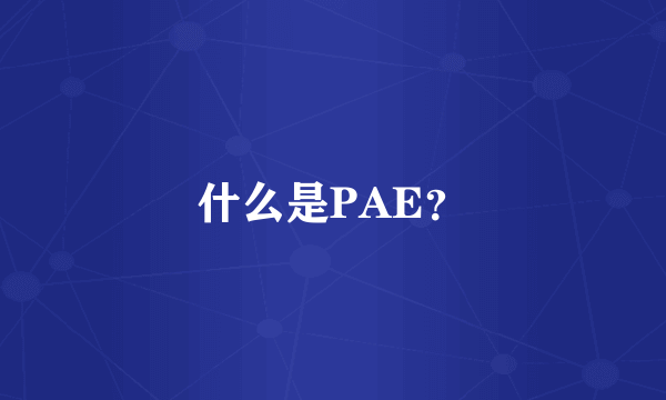 什么是PAE？