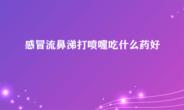 感冒流鼻涕打喷嚏吃什么药好