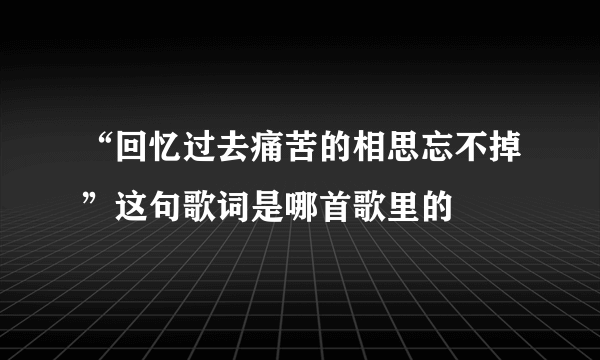 “回忆过去痛苦的相思忘不掉”这句歌词是哪首歌里的