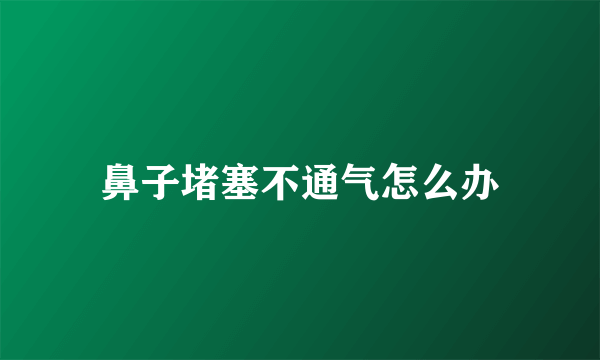 鼻子堵塞不通气怎么办