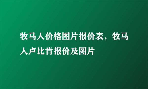 牧马人价格图片报价表，牧马人卢比肯报价及图片