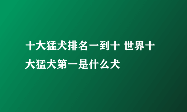 十大猛犬排名一到十 世界十大猛犬第一是什么犬