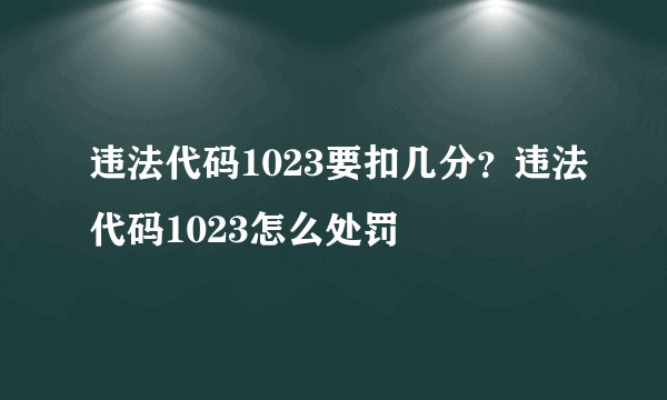 违法代码1023要扣几分？违法代码1023怎么处罚