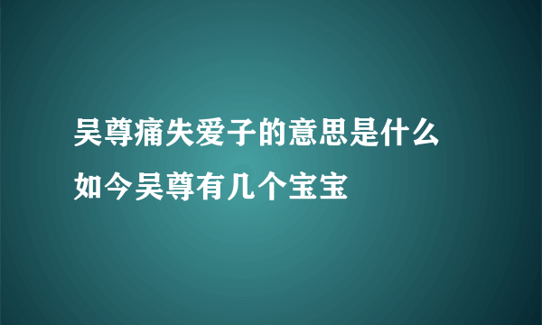 吴尊痛失爱子的意思是什么 如今吴尊有几个宝宝