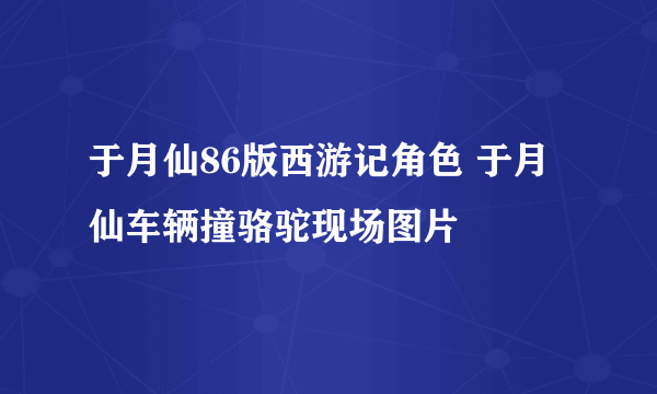 于月仙86版西游记角色 于月仙车辆撞骆驼现场图片