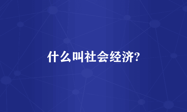 什么叫社会经济?