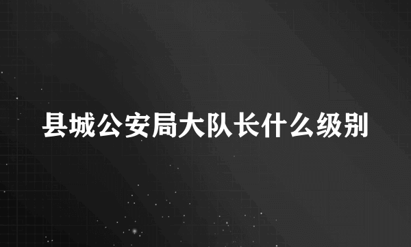 县城公安局大队长什么级别