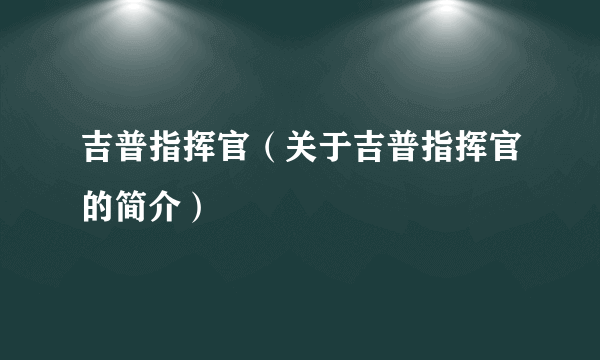 吉普指挥官（关于吉普指挥官的简介）