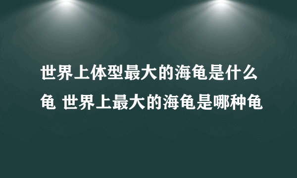 世界上体型最大的海龟是什么龟 世界上最大的海龟是哪种龟