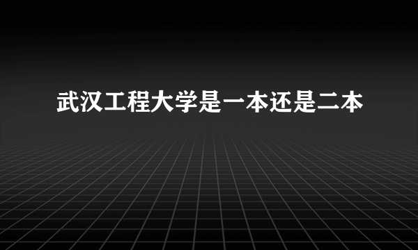 武汉工程大学是一本还是二本