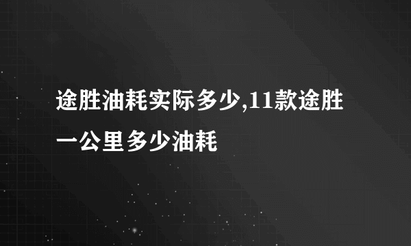 途胜油耗实际多少,11款途胜一公里多少油耗