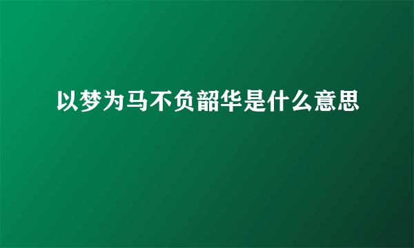 以梦为马不负韶华是什么意思