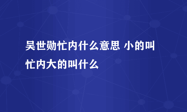 吴世勋忙内什么意思 小的叫忙内大的叫什么