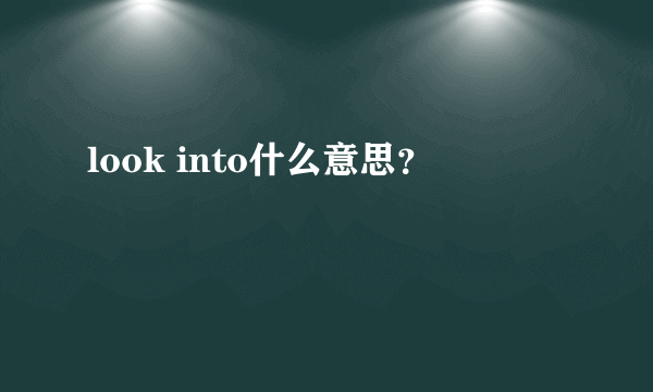 look into什么意思？