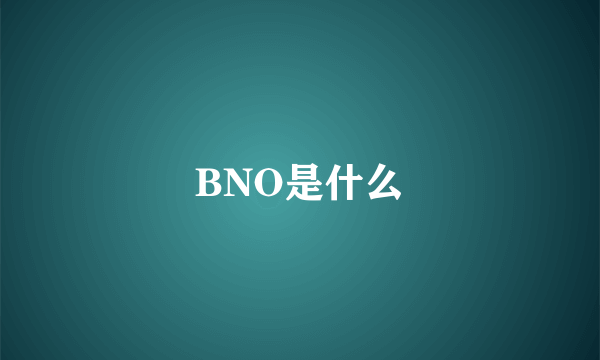 BNO是什么