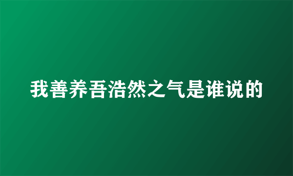 我善养吾浩然之气是谁说的