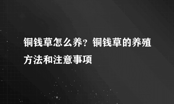 铜钱草怎么养？铜钱草的养殖方法和注意事项