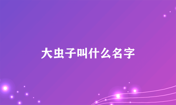 大虫子叫什么名字