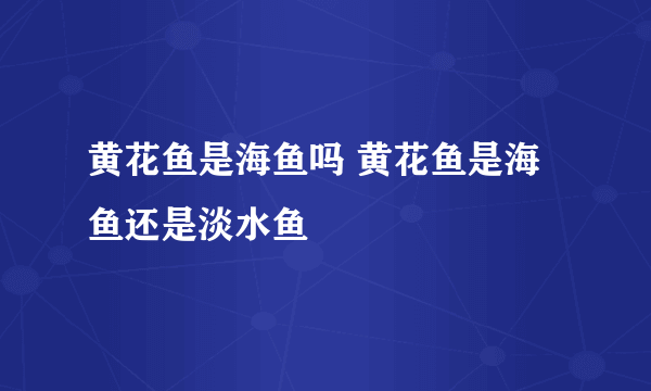 黄花鱼是海鱼吗 黄花鱼是海鱼还是淡水鱼