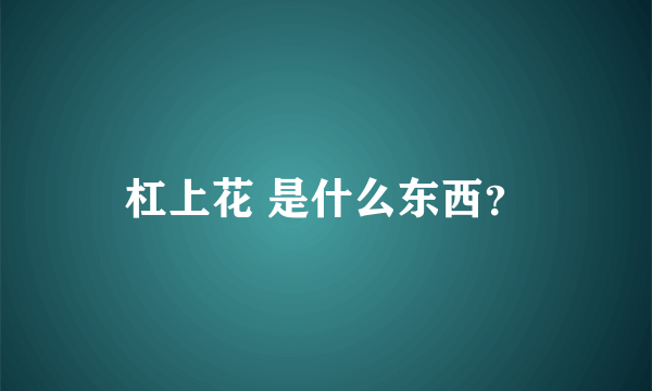 杠上花 是什么东西？