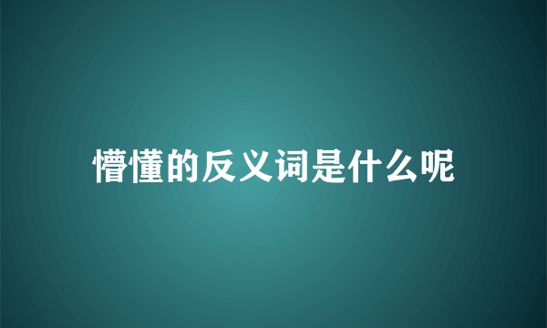 懵懂的反义词是什么呢